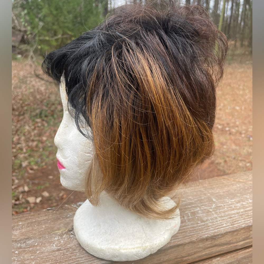 SHAKE -N-GO Stylish Black and Brown Women's synthetic wig. Very short bangs!!!!